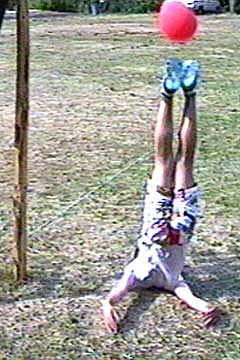 Kopbal neboli kop vysoký (Lucka 1995)