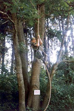 Krokodýl ve šplhu (1997)