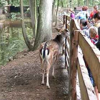 Průzkumníci ve Žlebech