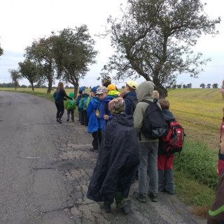 Procházka