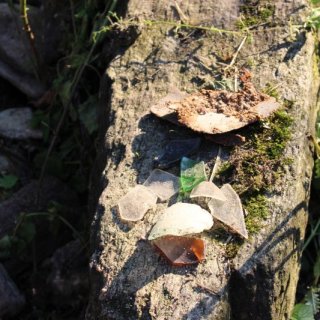 archeologické nálezy