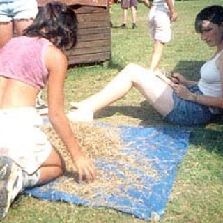 Vyzkoušejte si, jaké to je, hledat jehlu v kupce sena