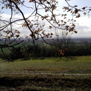 Lešij za humny