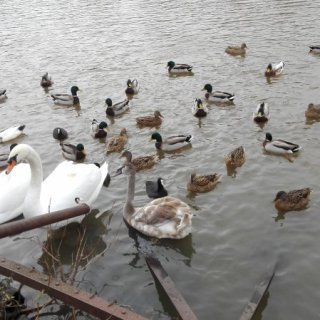 Procházka
