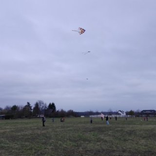 Pouštění draků