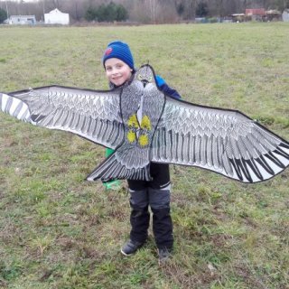 Pouštění draků