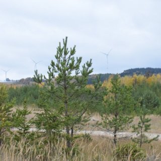 větrné elektrárny