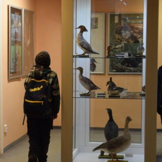 muzeum v Soos