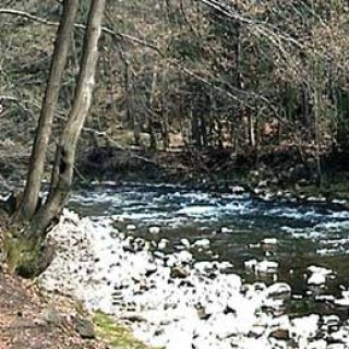 Údolí Divoké Orlice - zde se před deseti lety brodilo