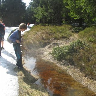 Lákadlo