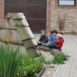 Klidné pozorování zraněné sovy