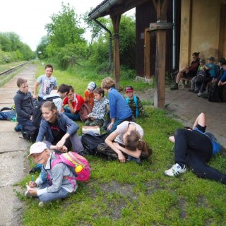 Cesta domů