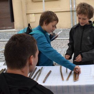 výběr hůlky