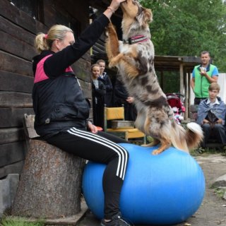 Výcvik kouzelných mazlíčků
