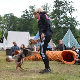 Výcvik kouzelných mazlíčků
