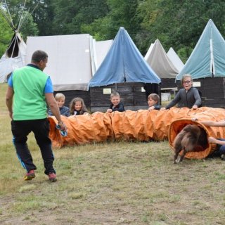 Výcvik kouzelných mazlíčků