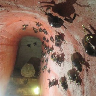 Invaze brouků