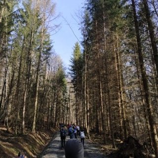 Cesta