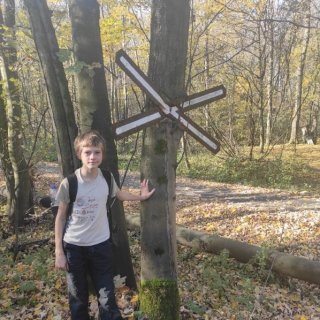Houbovi se moc líbila značka vrostlá do stromu