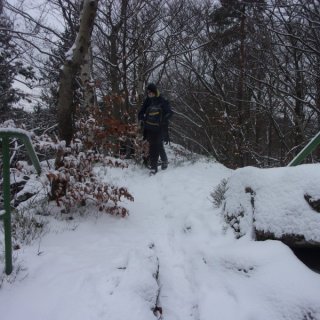 Plná polní