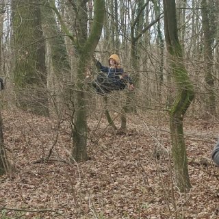 leze po stromě