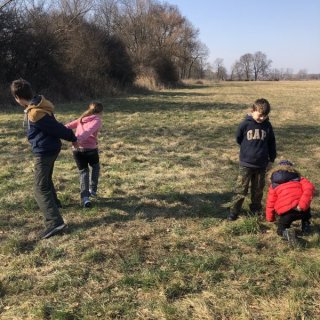 Ringelland Habrkovice