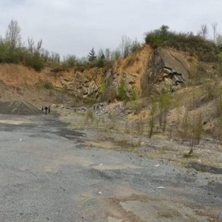 Drobní mravenečci 