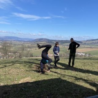 gymnastika se stromem