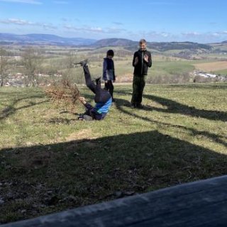 gymnastika se stromem