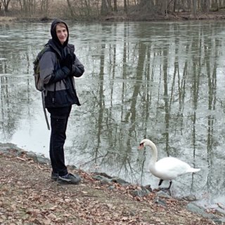 Bofík se snaží skamarádit s labutí