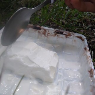 Polárková felicie Denis