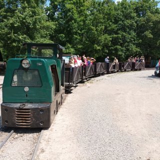 ve vláčku