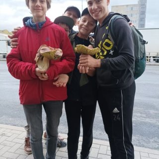 Houba a houbaři + Houba