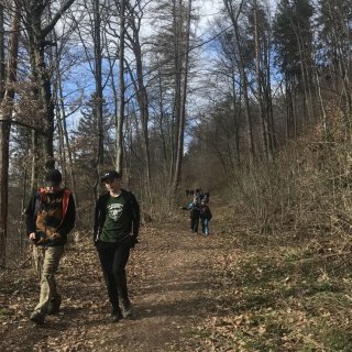 cesta na vlak