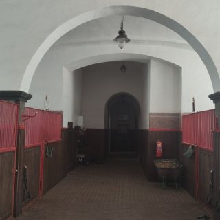 Stáje