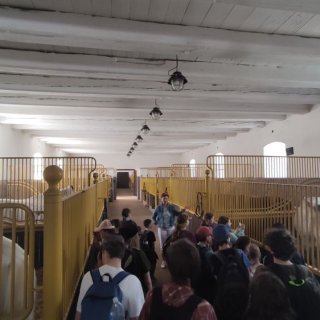 A další stáje
