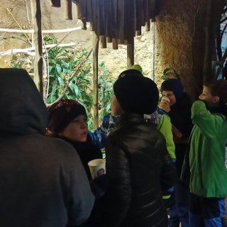 V ZOO