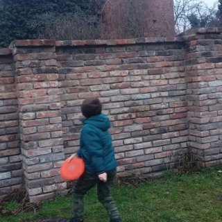 Frisbee