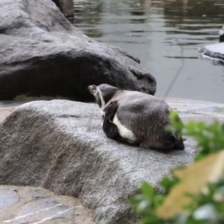 V Zoo Praha