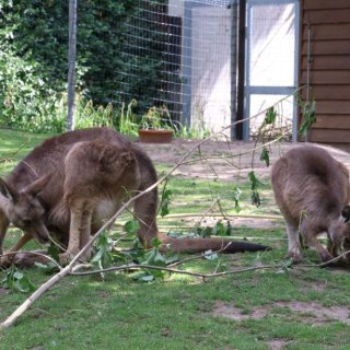 V Zoo Praha