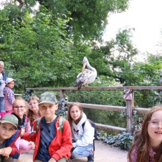V Zoo Praha