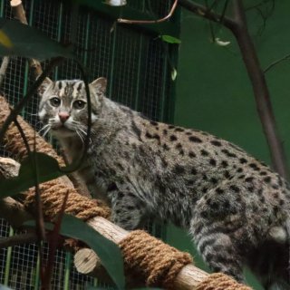 V Zoo Praha