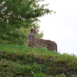 V Zoo Praha