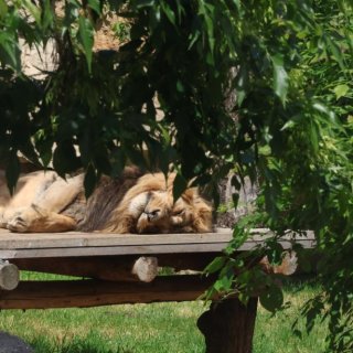 V Zoo Praha