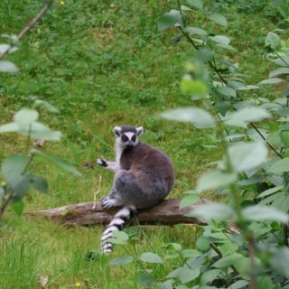 V Zoo Praha