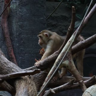 V Zoo Praha