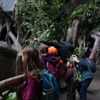 V Zoo Praha