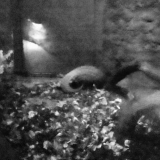 V Zoo Praha