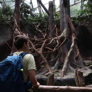 V Zoo Praha