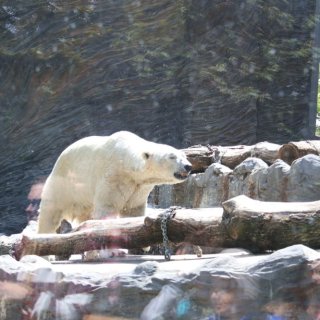 V Zoo Praha